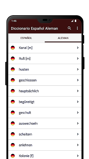 Diccionario Español Aleman Screen 3