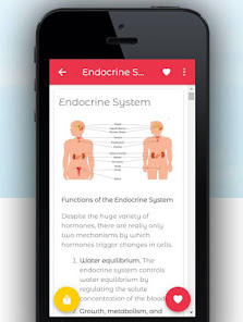 Imágen 2 Human Anatomy & Physiology android