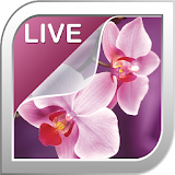 Orchid Live Wallpaper icon