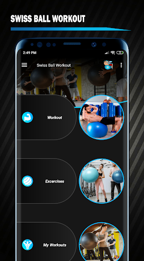 Android application Stability Ball Workout PRO screenshort