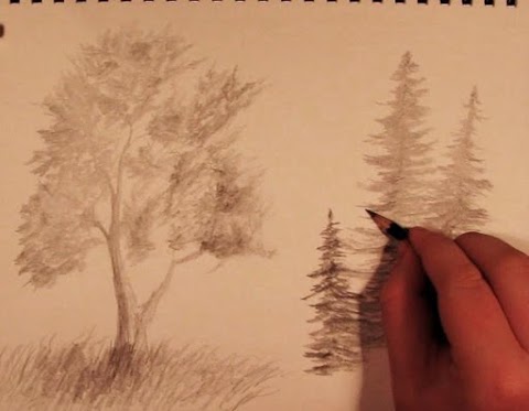 木を描くのおすすめ画像3