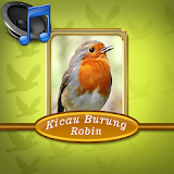 Master Burung Robin Mp3 icon