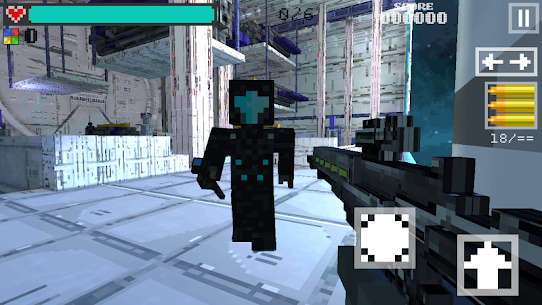 Block Gun 3D: Call of Destiny For PC installation
