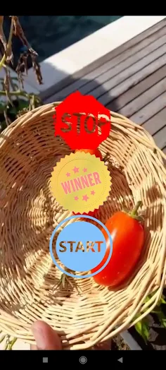 TOMATO - Screenshot 4