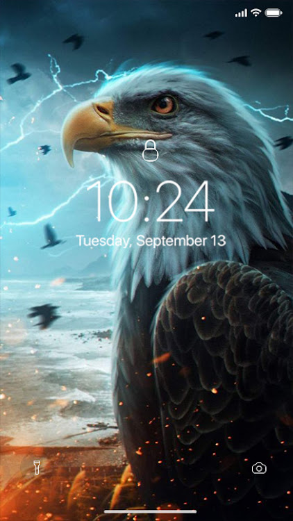 Eagle Wallpaper - 1.0.4 - (Android)