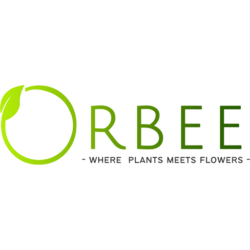 Orbee Flowers and Plants