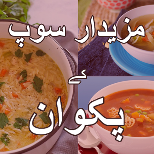 Desi Gharelu Nuskhe logo