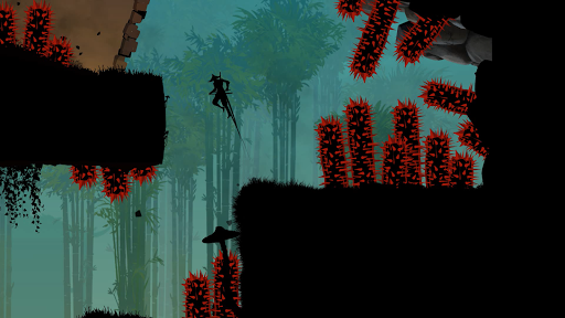 Ninja Arashi 2 Screenshot 1