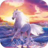 Horse by the sea live wp icon