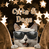 Cats and Dogs icon