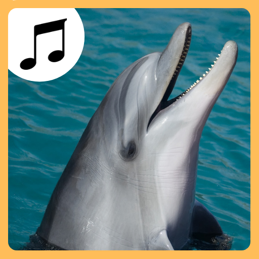 Sea Animal Sounds. logo
