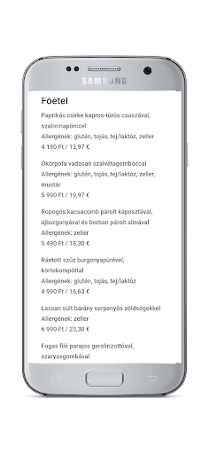 Városliget Café Screen 2