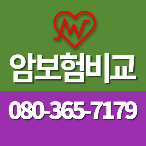 50대암보험 logo