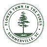 Town of Summerville