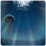 Jellyfish 3D LiveWallpaper icon