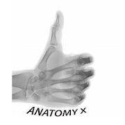 Top 24 Medical Apps Like Anatomy and Radiographic Projections - Best Alternatives