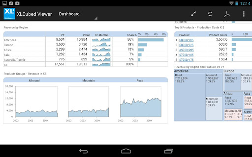 XLCubed Report Viewer Screen 2