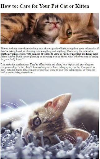 Cat Care Guide