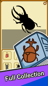 Catch Beetle - Bugs Jam Puzzle