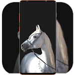 Cover Image of Download Horse Wallpaper HD  APK