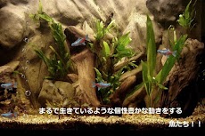 smartAQUARIUM-Blue-のおすすめ画像1