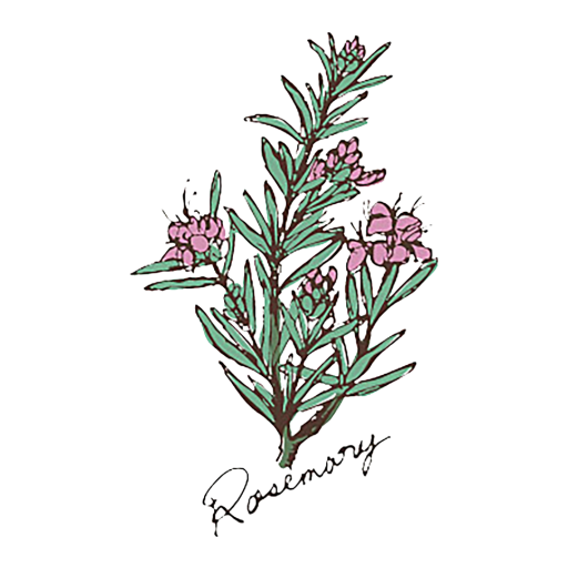 豊中市のお家サロン RoseMary logo