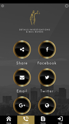 Details Investigations Bail