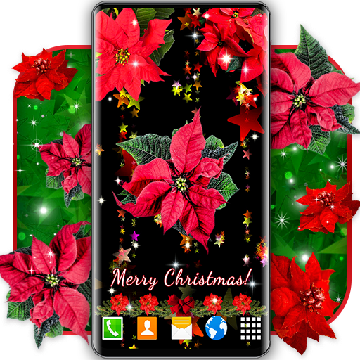 4k Christmas Flowers Poinsettia Live Wallpaper Google Play のアプリ