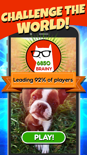 Android application Word Search Pets screenshort