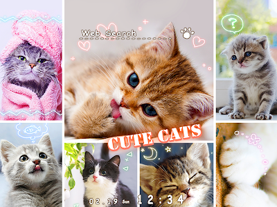 [無料ダウンロード！ √] 子猫 壁紙 無料 199245