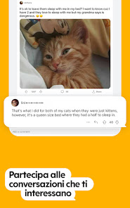 Immagine screenshot