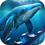 Cover Image of 下载 Blue Whale Video Wallpapers  APK