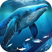 Blue Whale Video Live Wallpaper