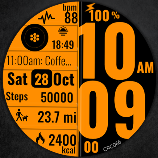 Digital Watch Face CRC066 logo