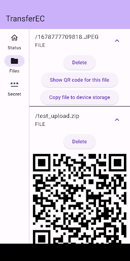 transferec: securely send file Screen 2