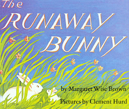 Icon image The Runaway Bunny