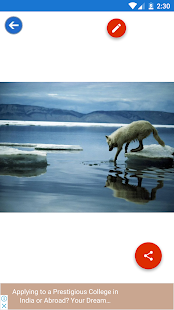 Arctic Wolf, Wolf Wallpapers 1.0.7 APK screenshots 4