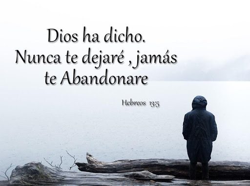 Android application Textos de la Biblia screenshort
