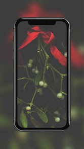 Panda Wallpaper 1.0.5 APK + Mod (Free purchase) for Android