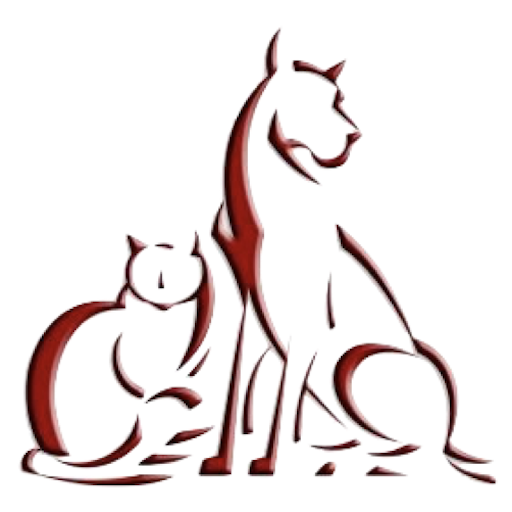 AAAVC logo