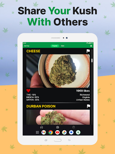 Logo https://play-lh.googleusercontent.com/EFT8QfLU2k2-cfwsRjKL2h3qs9IR7AUu0_PpxhsfQUR3oWE8h6zjPS89c_rtHJcIRQo