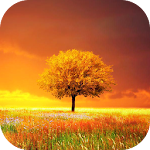 Cover Image of 下载 Awesome-Land Pro Livewallpaper  APK