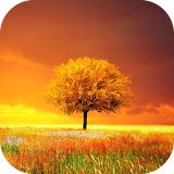 Awesome-Land Pro Live wallpaper icon