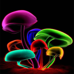 Icon image Cute Mushroom Wallpaper