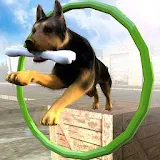 Dog Stunts & Simulator 3D - Crazy Dog Games icon