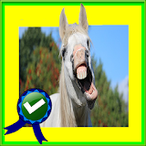 Adventurer Horse Race Running icon
