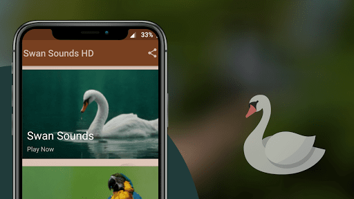 Swan Sounds Screen 2
