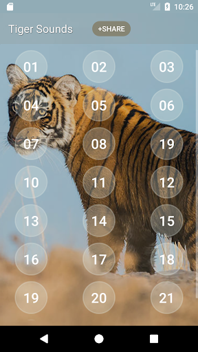 Tiger Sounds Screen 2