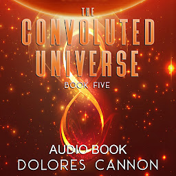 Symbolbild für The Convoluted Universe, Book Five