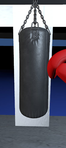 Boxing Bag Pro - Stress Relief Screen 3